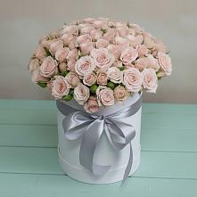 Цветочная композиция из Розы в шляпной коробке #REPLACE_PRED# Першино