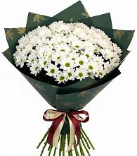 Букет цветов из:  Хризантемы #REPLACE_PRED# Першино