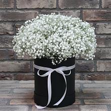 Цветочная композиция из Гипсофила в шляпной коробке в Першино